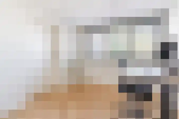Den Bommelaer 5 Bergeijk thumbnail 18
