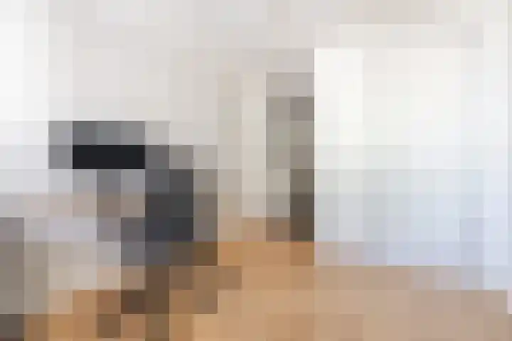 Den Bommelaer 5 Bergeijk thumbnail 19