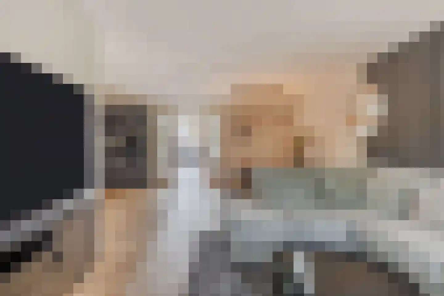 Den Bommelaer 5 Bergeijk foto 2