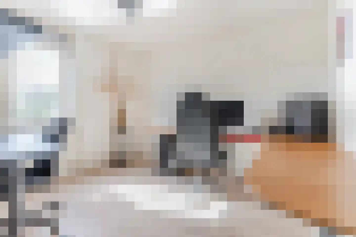 Den Bommelaer 5 Bergeijk thumbnail 24