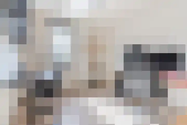 Den Bommelaer 5 Bergeijk thumbnail 25
