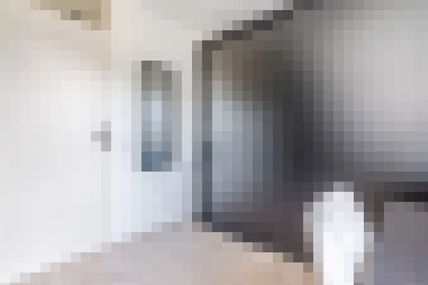 Den Bommelaer 5 Bergeijk thumbnail 26