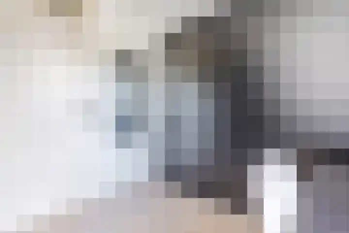 Den Bommelaer 5 Bergeijk thumbnail 26