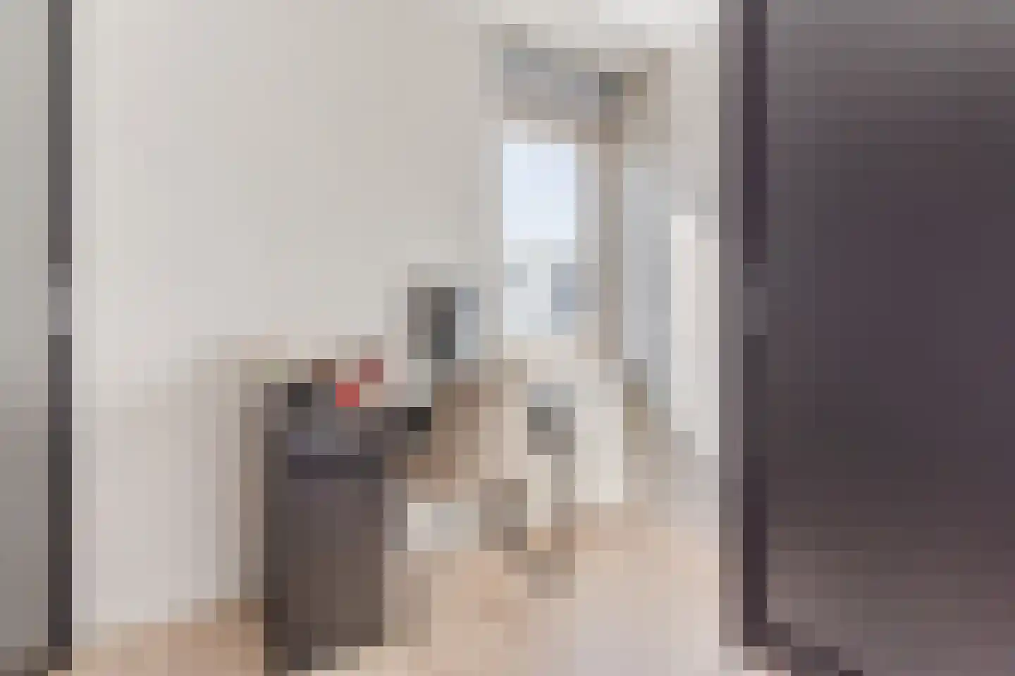 Den Bommelaer 5 Bergeijk thumbnail 27