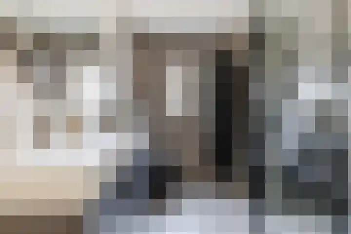 Den Bommelaer 5 Bergeijk foto 3