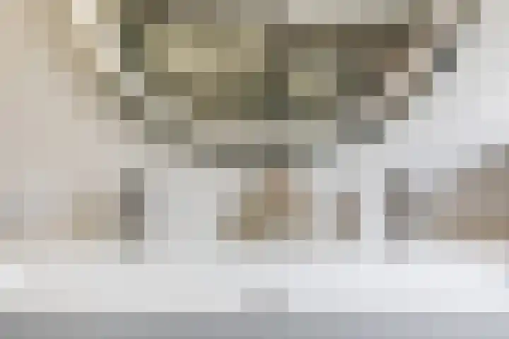 Den Bommelaer 5 Bergeijk thumbnail 30
