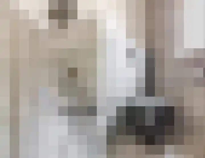 Den Bommelaer 5 Bergeijk thumbnail 31