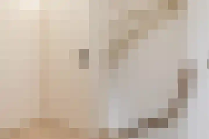 Den Bommelaer 5 Bergeijk thumbnail 32