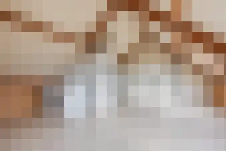 Den Bommelaer 5 Bergeijk thumbnail 34
