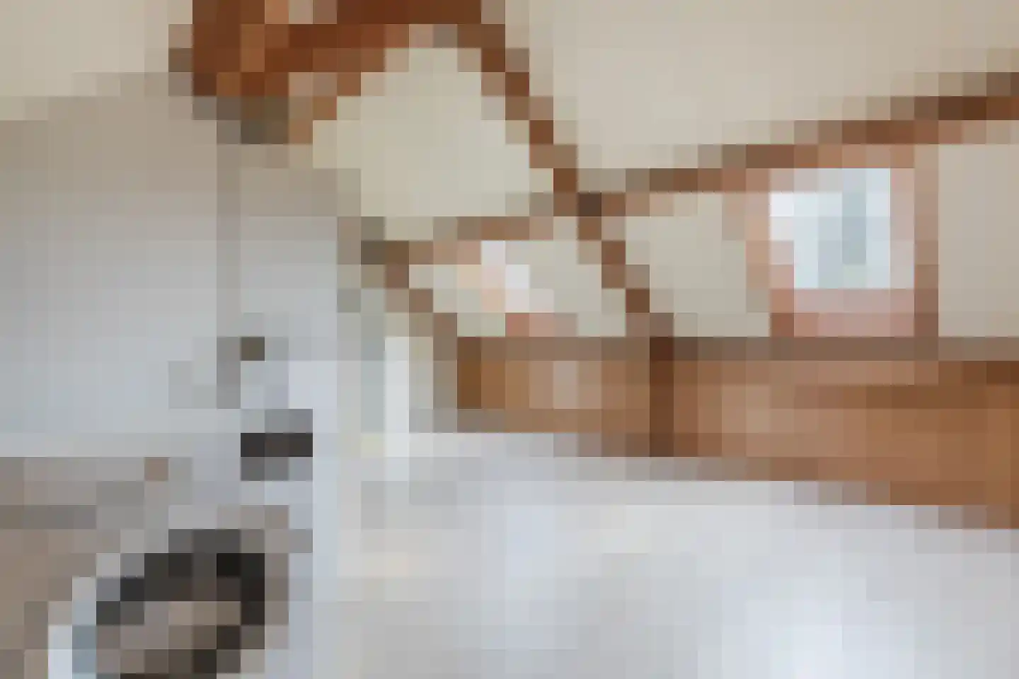 Den Bommelaer 5 Bergeijk thumbnail 35