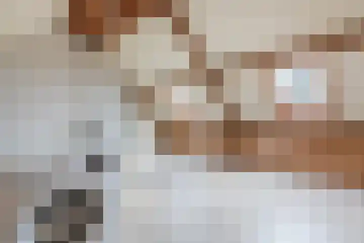 Den Bommelaer 5 Bergeijk thumbnail 35