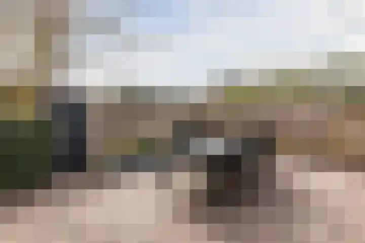 Den Bommelaer 5 Bergeijk thumbnail 37