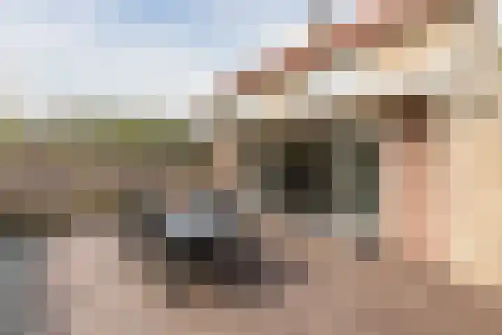 Den Bommelaer 5 Bergeijk thumbnail 38