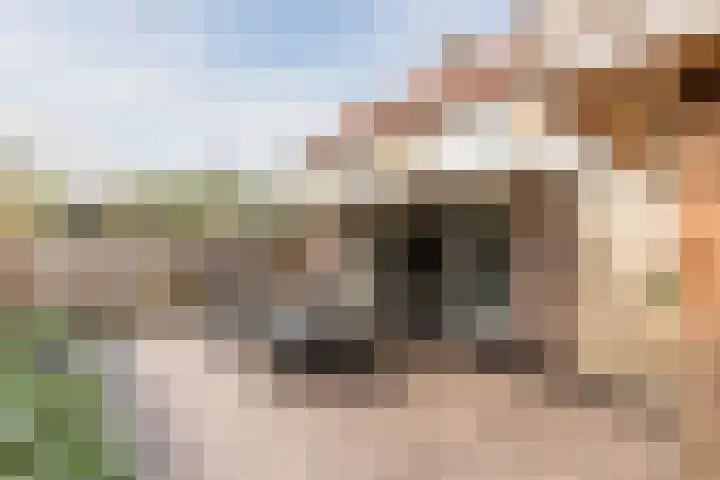 Den Bommelaer 5 Bergeijk thumbnail 39