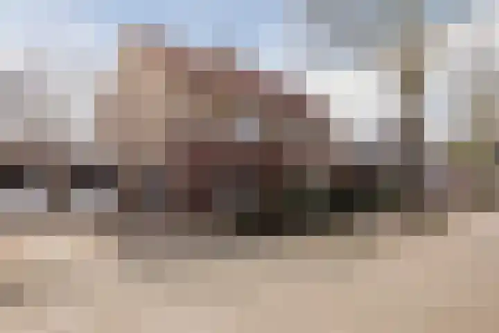 Den Bommelaer 5 Bergeijk thumbnail 4