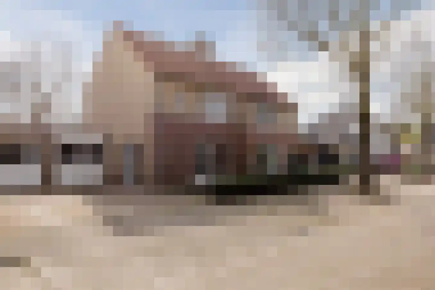 Den Bommelaer 5 Bergeijk thumbnail 4