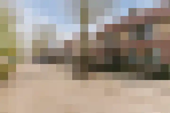 Den Bommelaer 5 Bergeijk thumbnail 41
