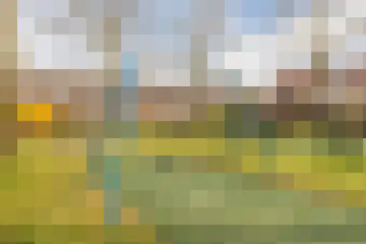 Den Bommelaer 5 Bergeijk thumbnail 42