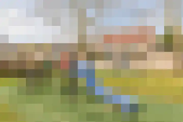 Den Bommelaer 5 Bergeijk thumbnail 43
