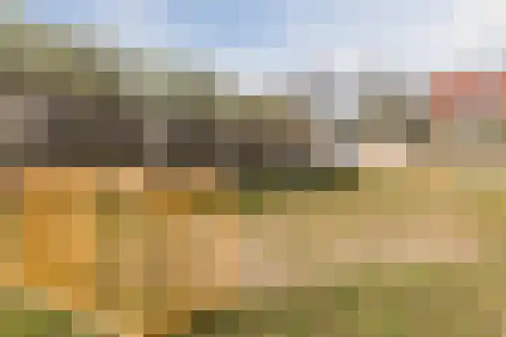 Den Bommelaer 5 Bergeijk thumbnail 44