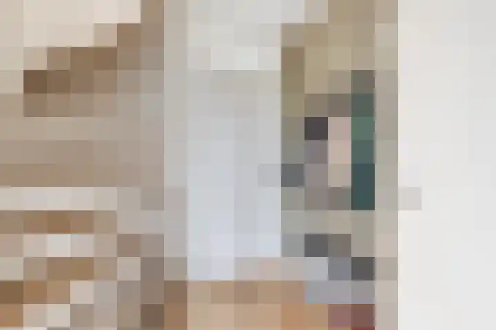 Den Bommelaer 5 Bergeijk thumbnail 5