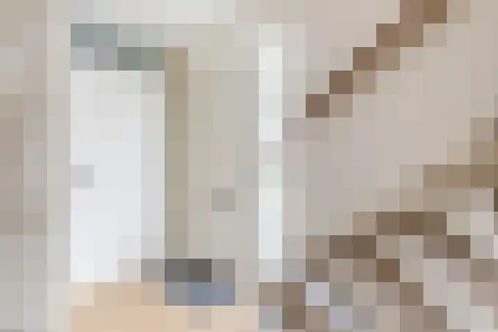 Den Bommelaer 5 Bergeijk thumbnail 6