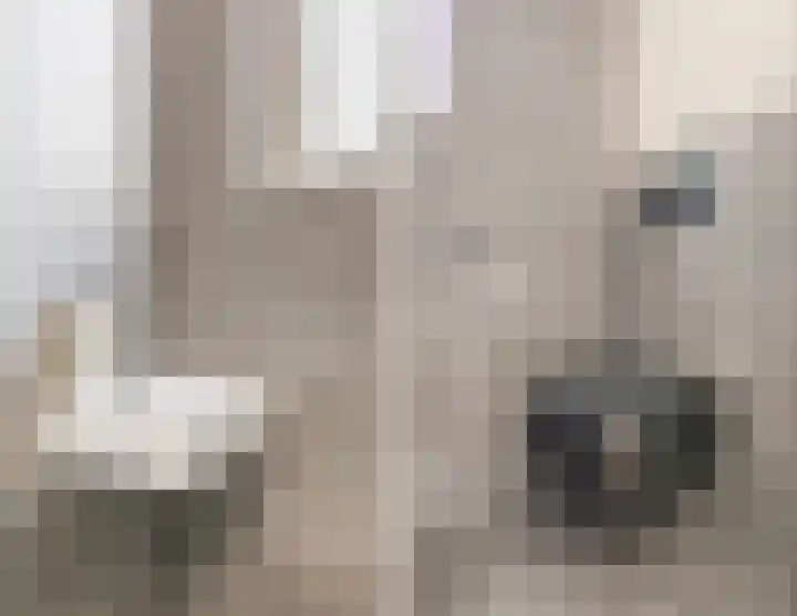 Den Bommelaer 5 Bergeijk thumbnail 7