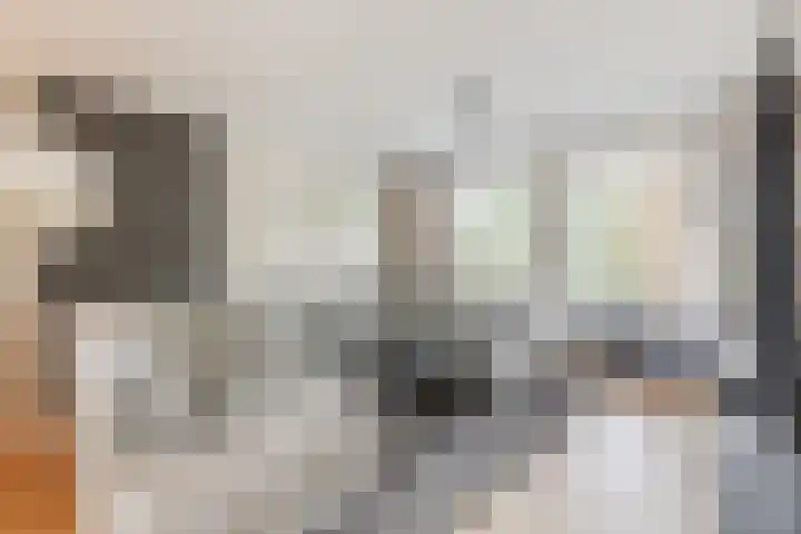 Den Bommelaer 5 Bergeijk thumbnail 8