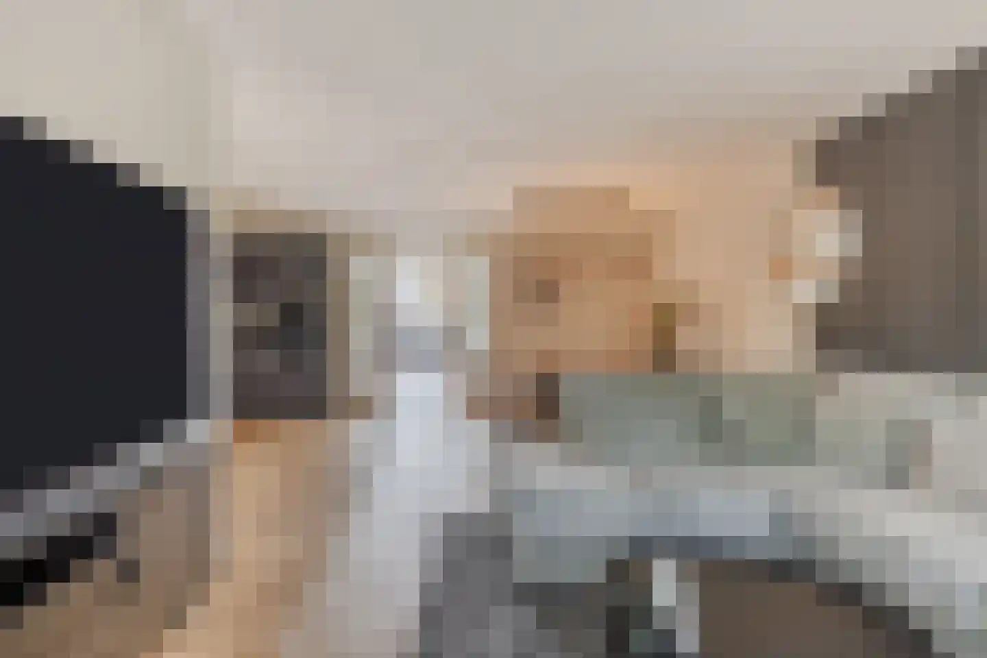 Den Bommelaer 5 Bergeijk thumbnail 9