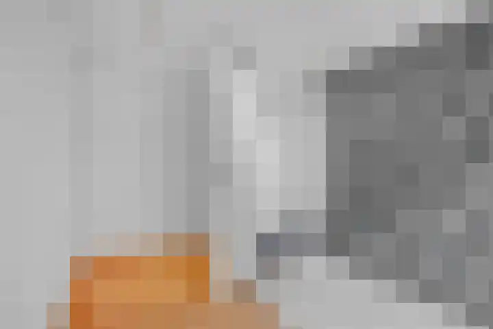 Den Bommelsestraat 7 Schiedam thumbnail 36