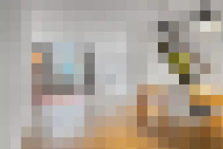 Den Bommelsestraat 7 Schiedam thumbnail 4