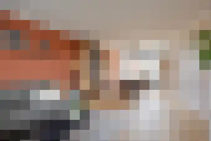 den Bongerd 35 Oirschot thumbnail 10