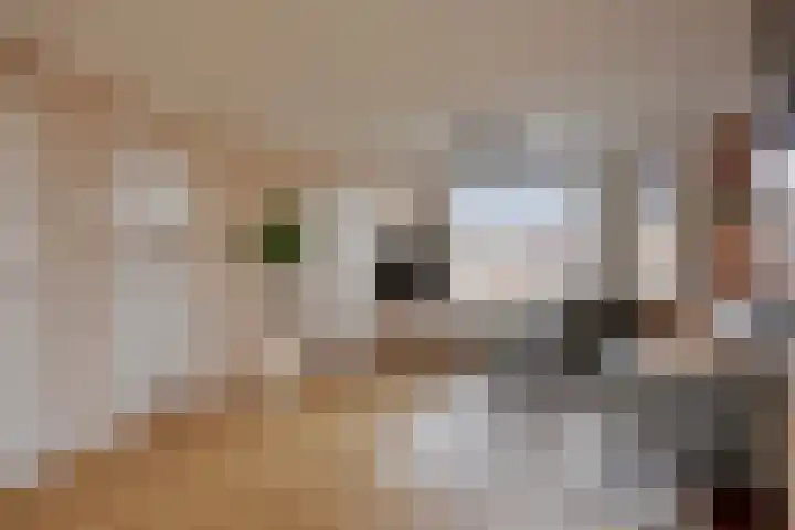 den Bongerd 35 Oirschot thumbnail 11