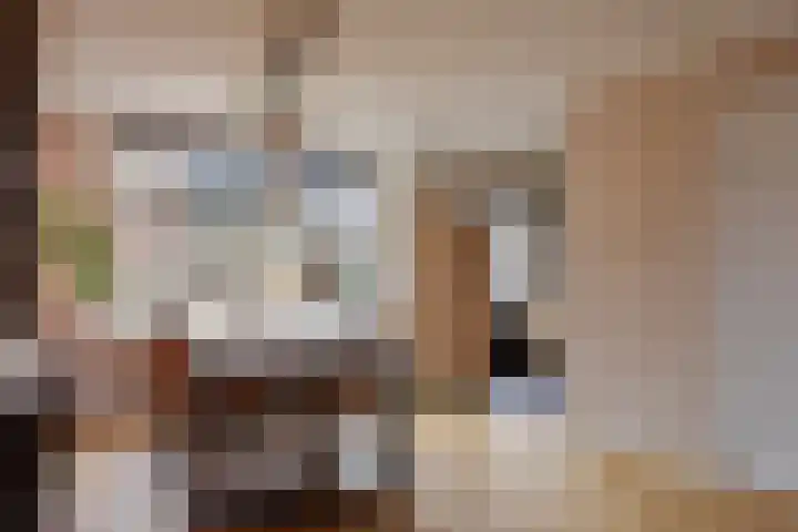 den Bongerd 35 Oirschot thumbnail 13