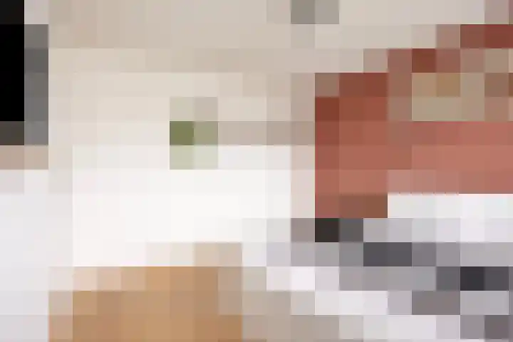 den Bongerd 35 Oirschot thumbnail 19