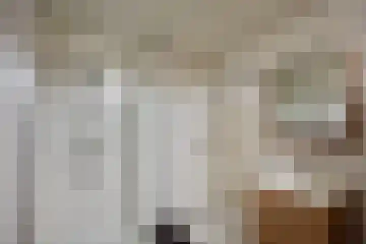 den Bongerd 35 Oirschot thumbnail 23