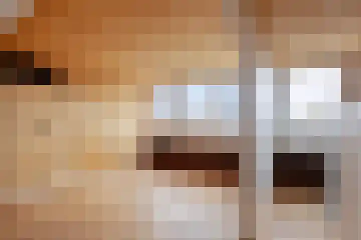 den Bongerd 35 Oirschot thumbnail 24
