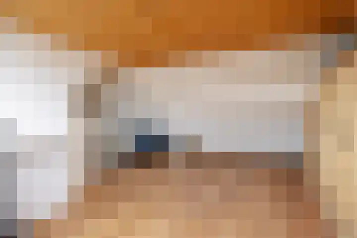 den Bongerd 35 Oirschot thumbnail 25