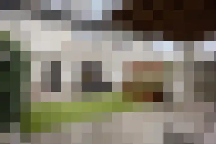 den Bongerd 35 Oirschot thumbnail 27