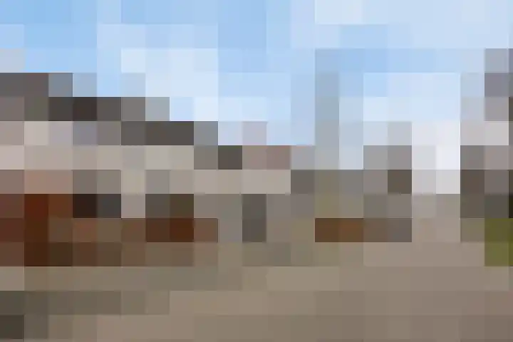 den Bongerd 35 Oirschot thumbnail 6