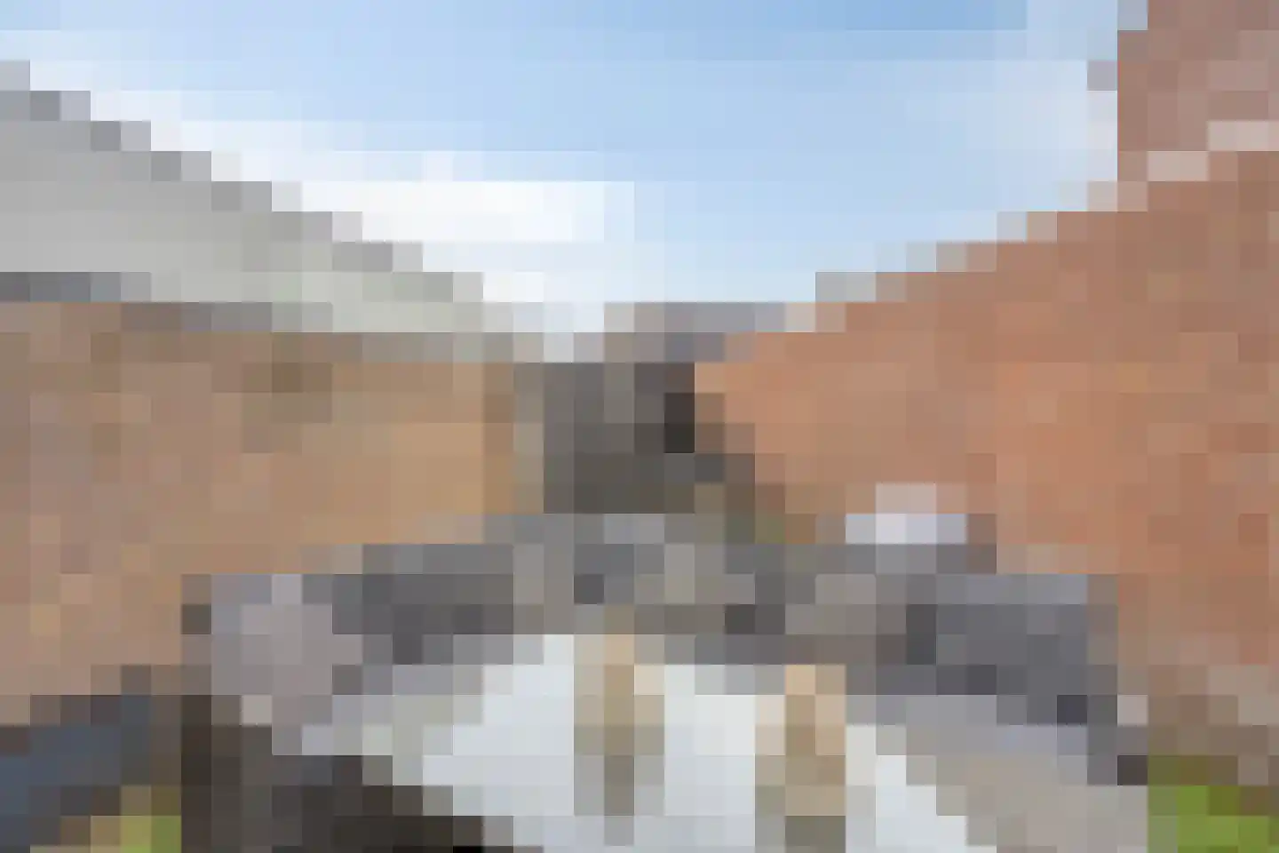 Den Boogerd 1 Heusden thumbnail 25