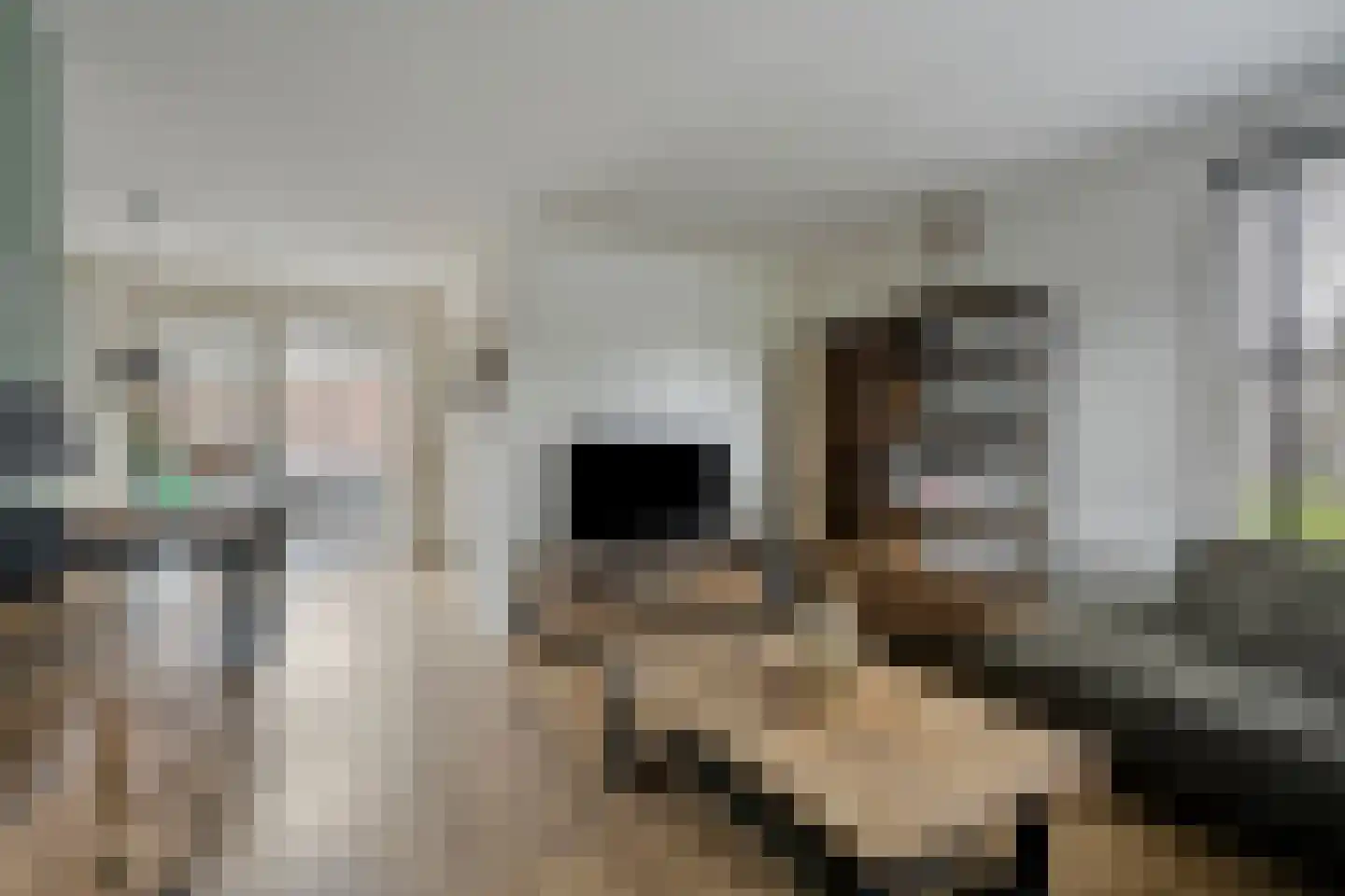 Den Boogerd 1 Heusden thumbnail 7