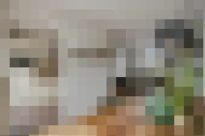 Den Boogerd 1 Heusden thumbnail 9