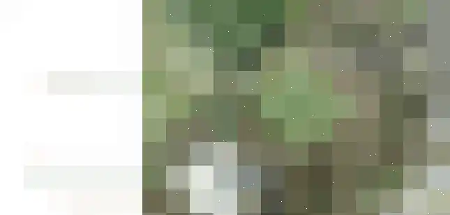 Den Boogerd Veldhoven thumbnail 5