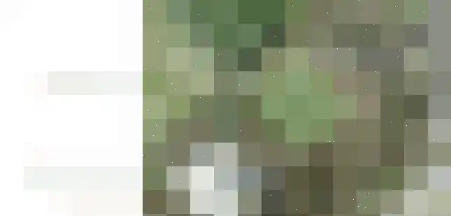 Den Boogerd Veldhoven thumbnail 5