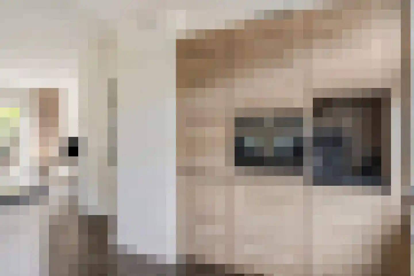 Den Boogert 19 Ochten thumbnail 17