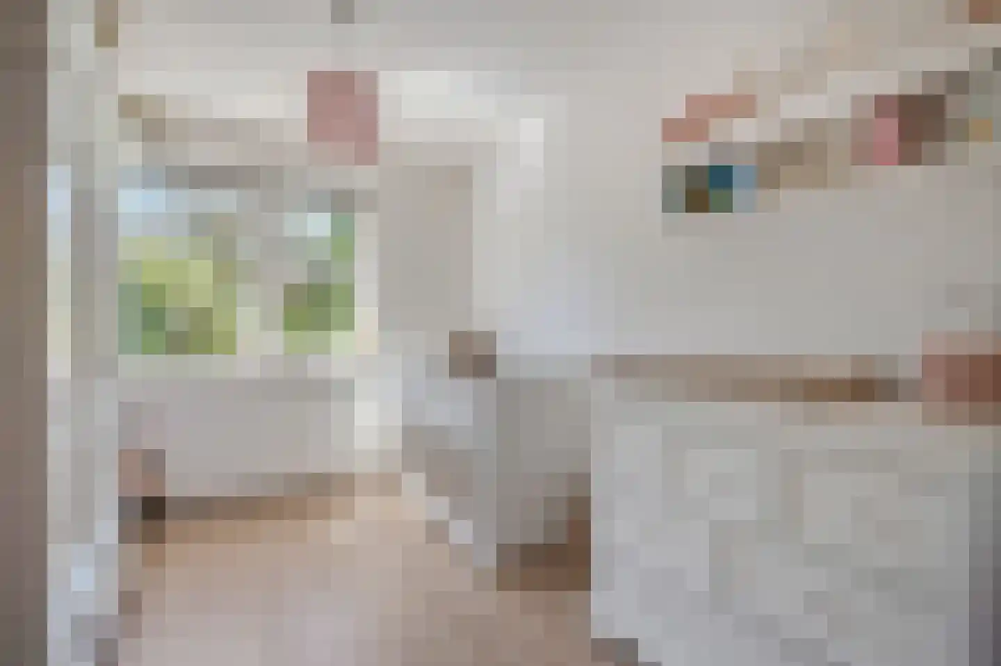 Den Boogert 19 Ochten thumbnail 36