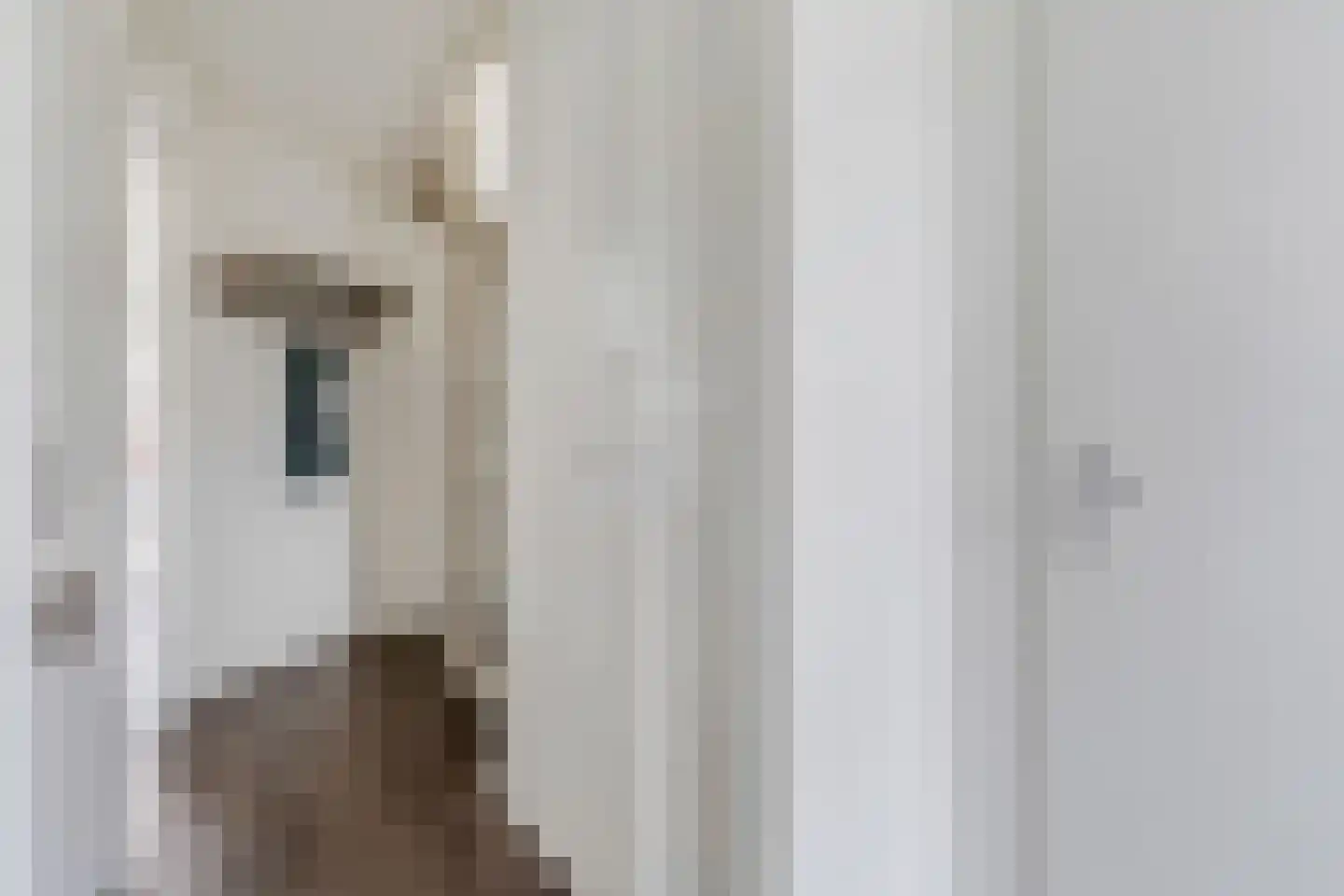 Den Boogert 19 Ochten thumbnail 5