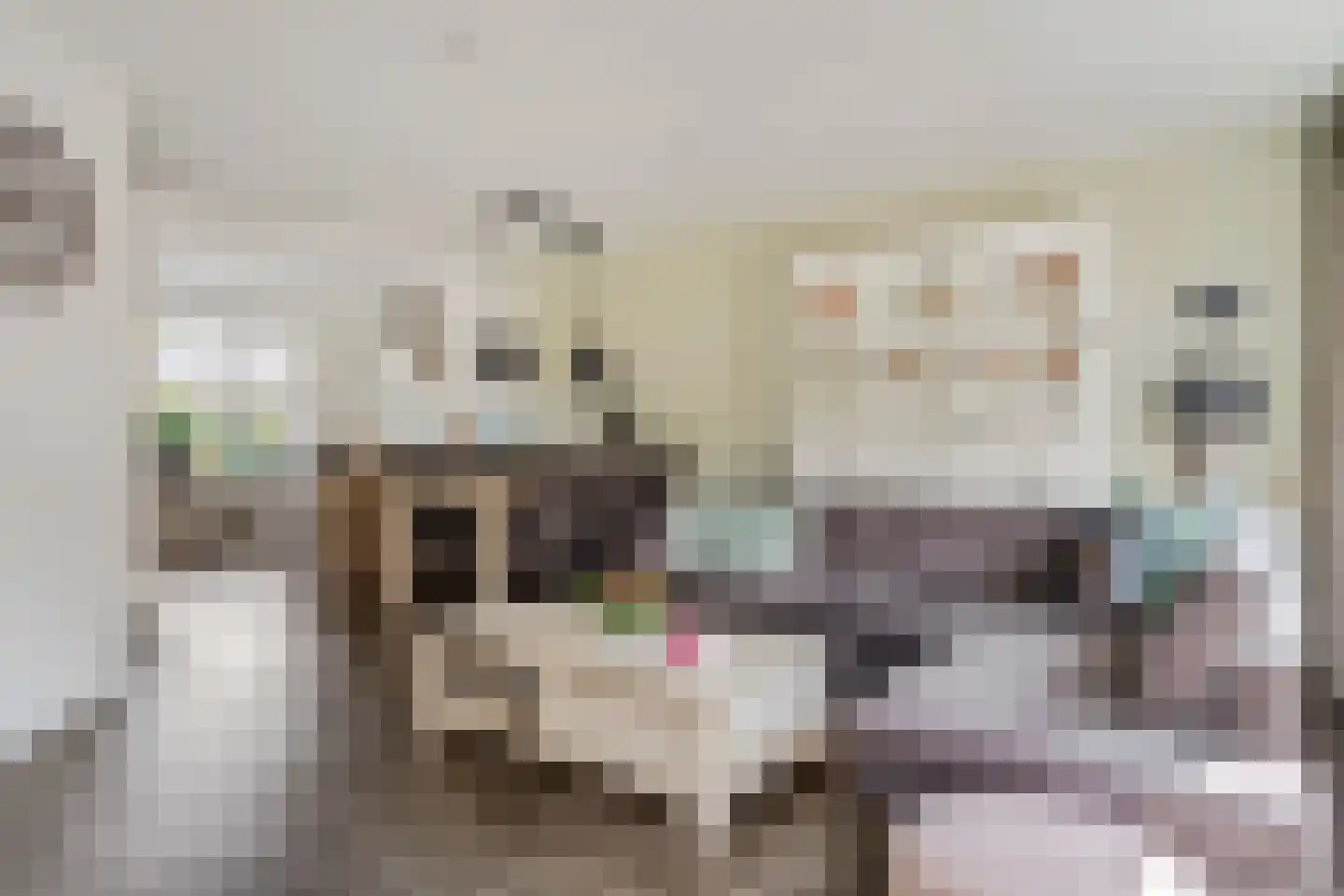 Den Boogert 19 Ochten thumbnail 8