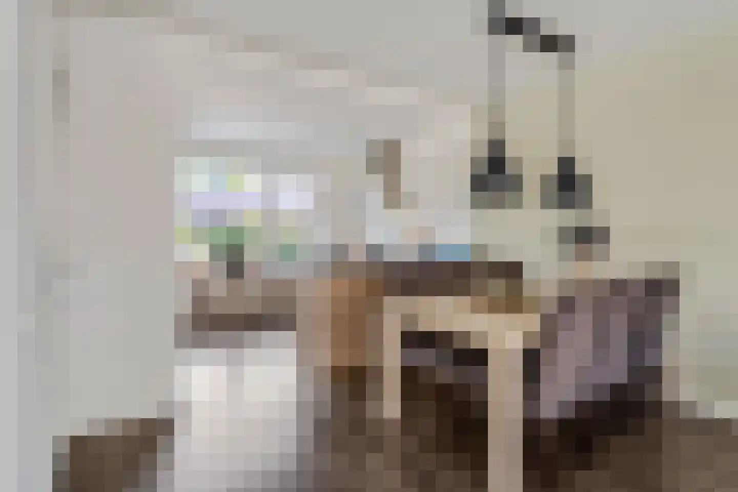 Den Boogert 19 Ochten thumbnail 9